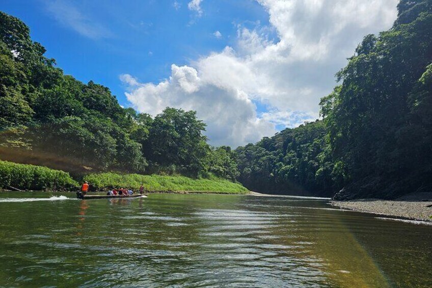 Adventure Tour Kayak and Hike in Chagres River 