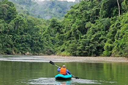 Kayak and Hike: The Chagres Rainforest Experience