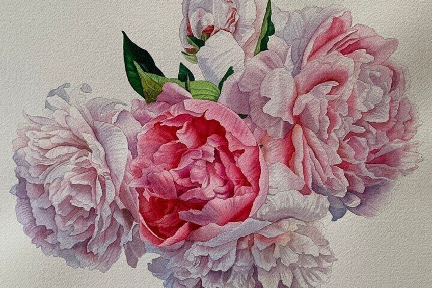 Peonies in watercolor 