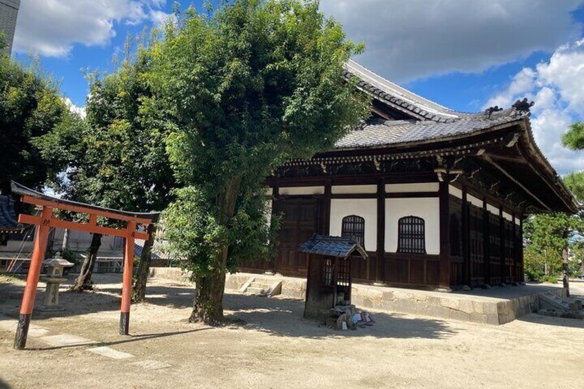 Hiking To Temples Shrines & Gardens Of Kyoto Full Day 8 Hours