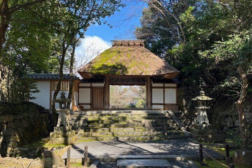 Hiking To Temples Shrines & Gardens Of Kyoto Full Day 8 Hours