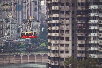 1 Day Chongqing Megacity Walking Tour