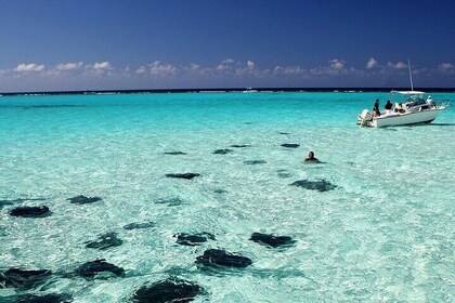Grand Cayman Stingray City and Reef Snorkeling Combo Tour