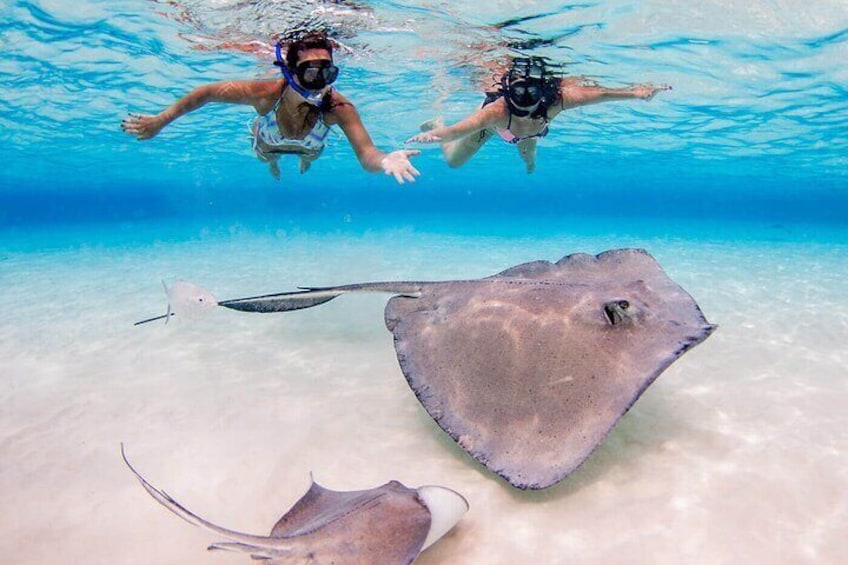 Stingrays, Starfish Point and Crystal Caves Cayman Combo Tour
