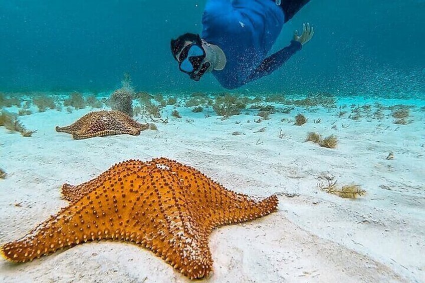 Stingrays, Starfish Point and Crystal Caves Cayman Combo Tour