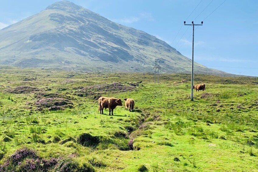 Isle of Skye Bespoke Luxury Tour from Inverness