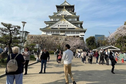 Private Walking Tour from Osaka with Lunch