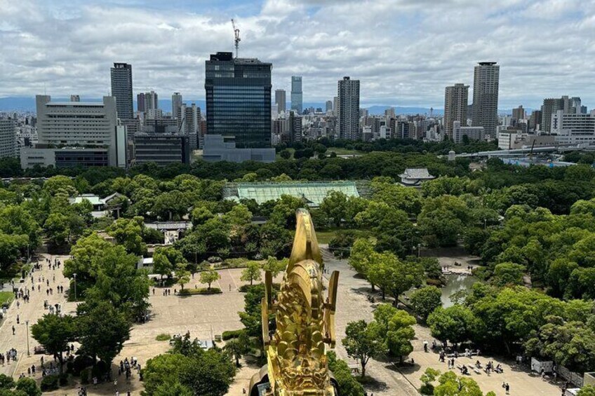 Private Walking Tour from Osaka with Lunch