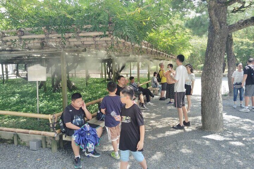 Kyoto: Enjoy Byodoin Temple and Tea Sweets