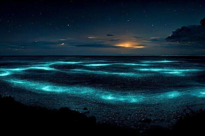 Grand Cayman Bioluminescent Bay Adventure