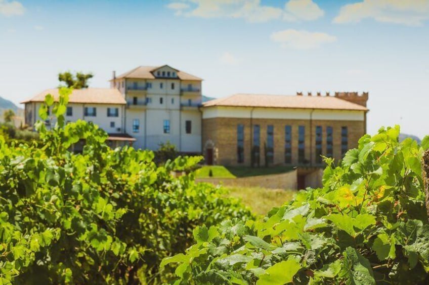 Tirana Lundra Winery Guided Tour with Wine Tasting