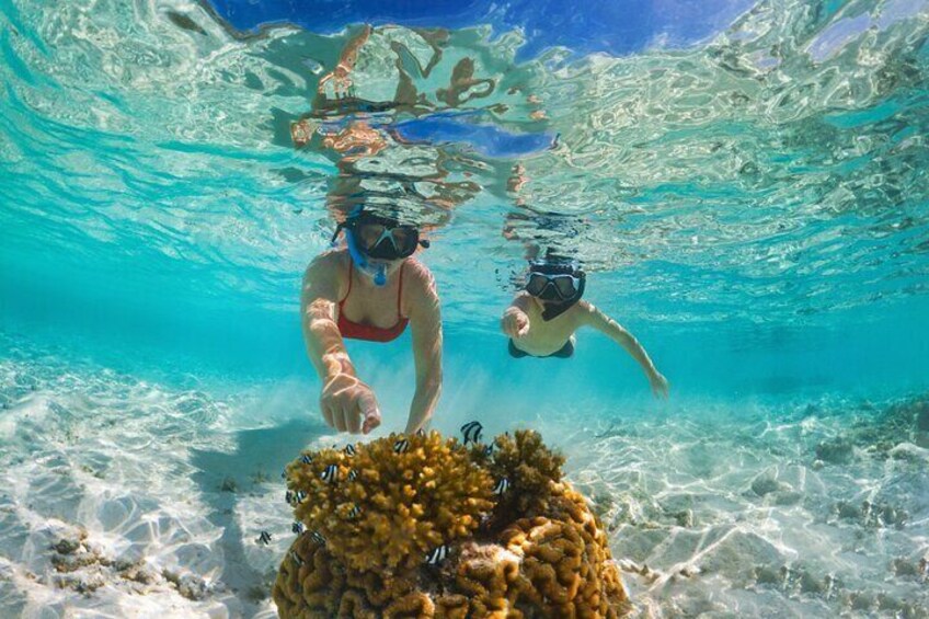 Enjoy Hula Hula Island Private Boat with Lunch &Transfer-Hurghada