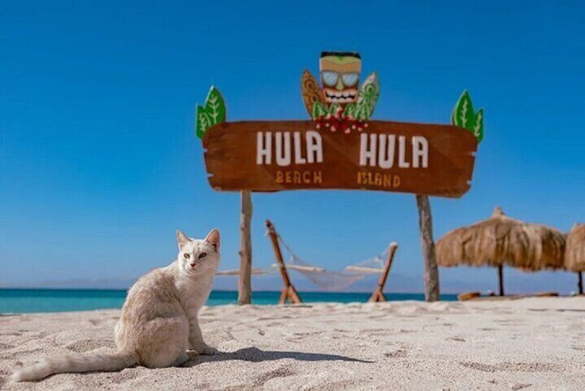 Enjoy Hula Hula Island Private Boat with Lunch &Transfer-Hurghada