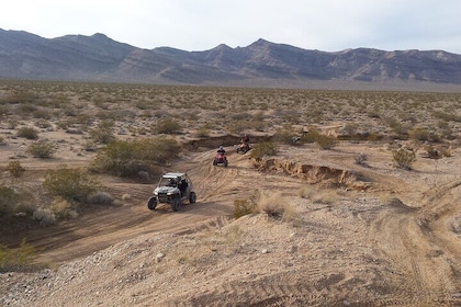 2 Hour Las Vegas quad bike Tour and Combo Gun Package