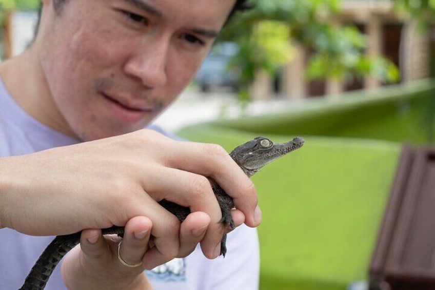 Curiosity Meets Nature