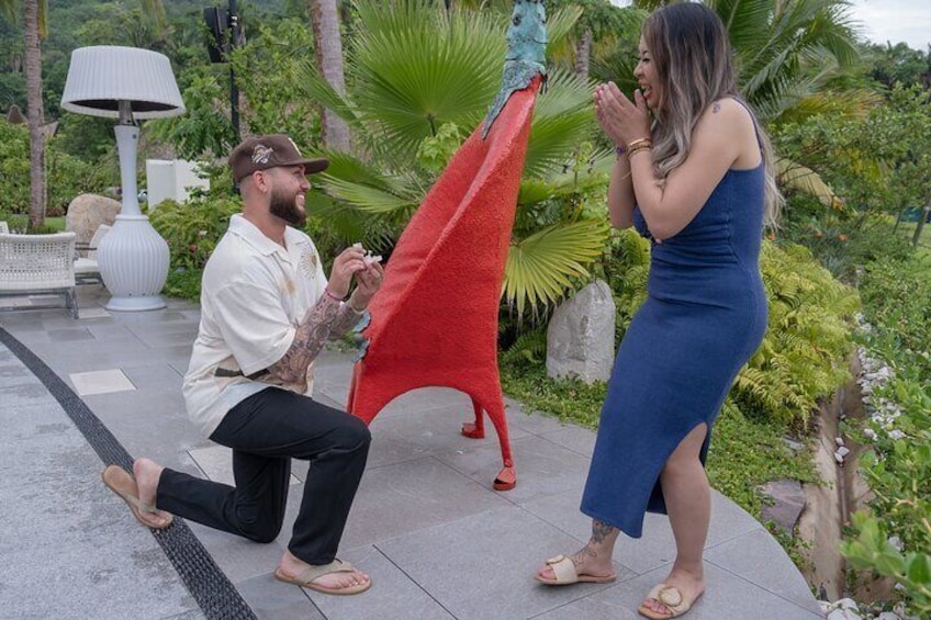 A Moment to Remember: The Perfect Proposal