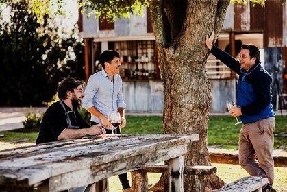 Tour de Viñedos en San Antonio de Areco