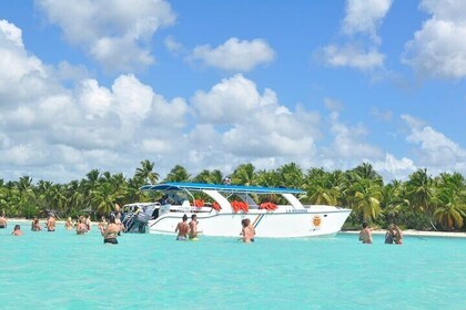 Saona Island Full-Day Tour from Boca Chica