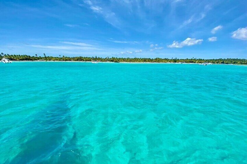 Saona Island Full-Day Tour from Boca Chica