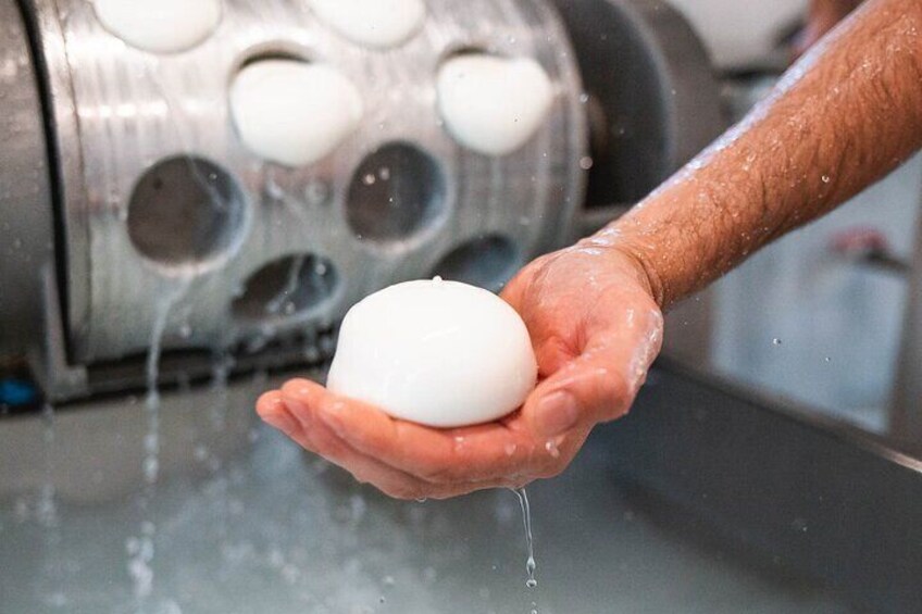 Private Cheese Making Activity in Todi