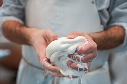 Private Cheese Making Activity in Todi