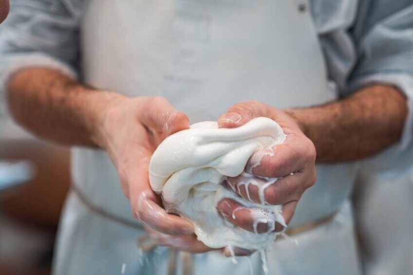 Private Cheese Making Activity in Todi