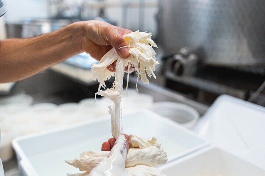 Private Cheese Making Activity in Todi