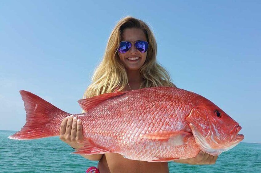 4 Hour Inshore Fishing Charter Sarasota Siesta Key Bradenton