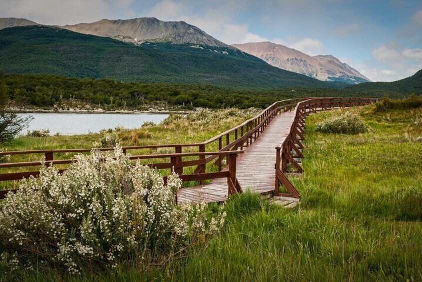 Group or Private Tour to Tierra del Fuego National Park