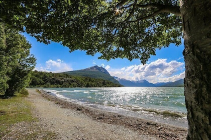 Group or Private Tour to Tierra del Fuego National Park