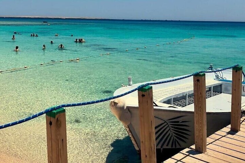 Paradise Island Hola Hola Full Day Adventure in Hurghada