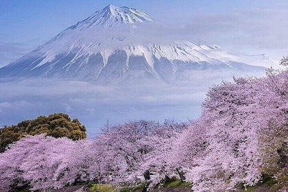 Mount Fuji and Hakone Full Day Private Sightseeing Tour