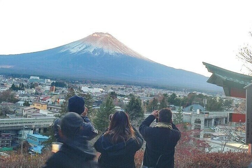 Mount Fuji and Hakone Full Day Private Sightseeing Tour 