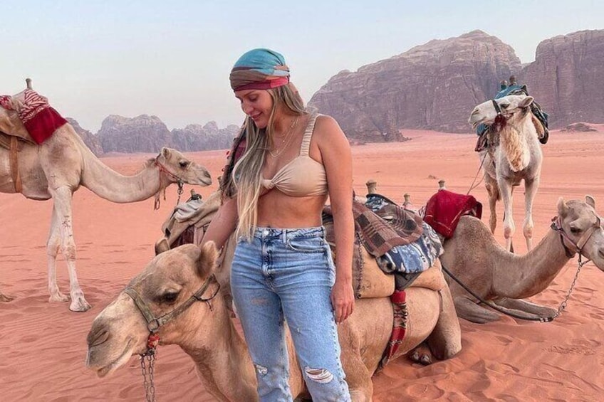 Full Day Petra and Wadi Rum Private Guided Tour From Amman