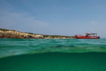 Port Stephens 3hrs Snorkelling Adventure