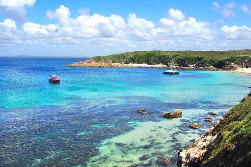 3 hours Snorkeling Adventure from Port Stephens