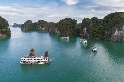 2 Days 1 Night Ninh Binh to Bai Tu Long Overnight Cruise