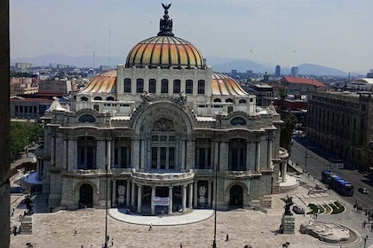 From cdmx: Citywalking Private Tour by cdmx