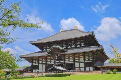 Nara, Todaiji Temple and Kuroshio Market One Day Tour from Osaka