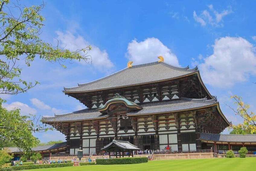 Nara, Todaiji Temple & Kuroshio Market One Day Tour from osaka