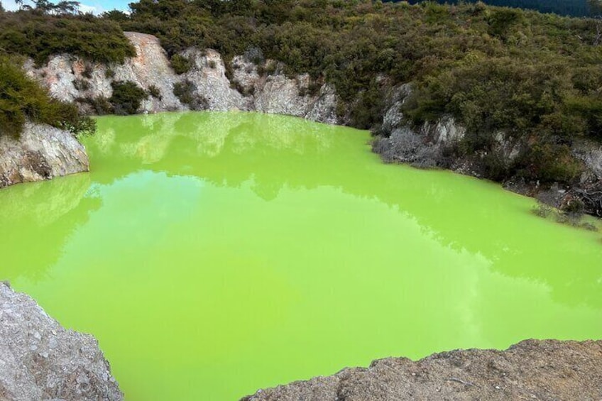 Wai-O-Tapu Geothermal Wonderland Rotorua Group Tour from Auckland