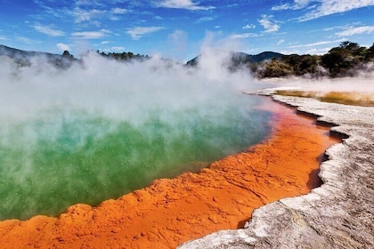 Wai-O-Tapu Geothermal Wonderland Rotorua Group Tour from Auckland