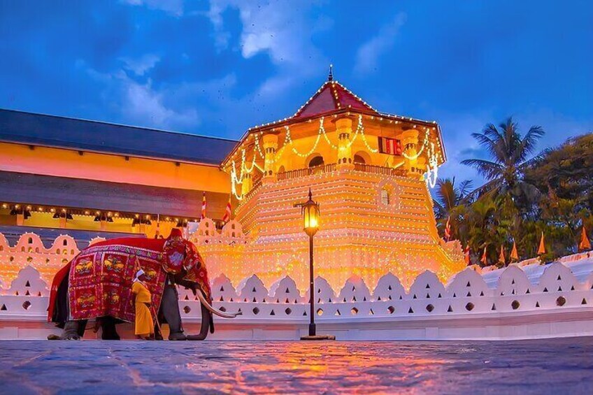 Sightseeing Tour in Sri Lanka with Cultural Experiences