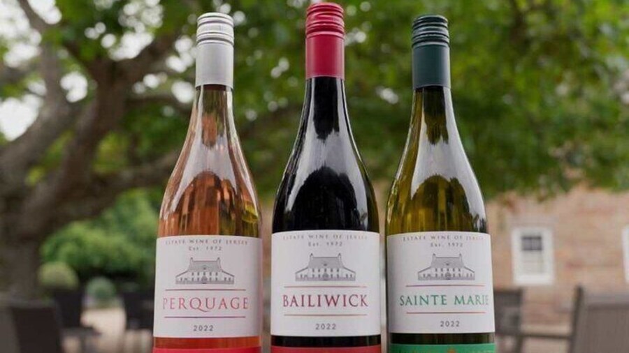Classic Vineyard Distillery Tour and Tasting Experience in Jersey