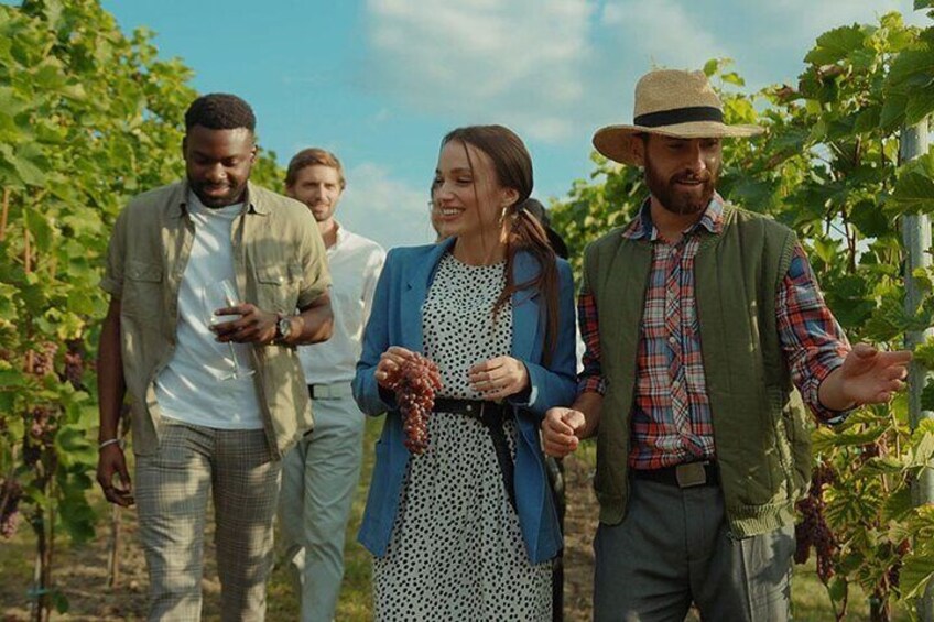 Take a self guided tour around the vineyard.