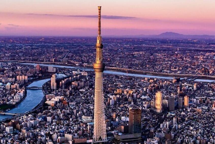 Full Day Tokyo Private City Tour