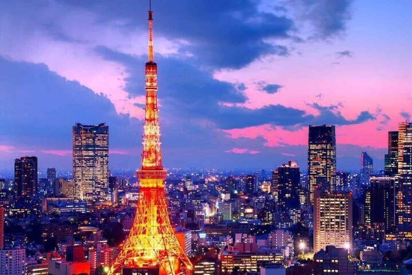 Full Day Tokyo Private City Tour