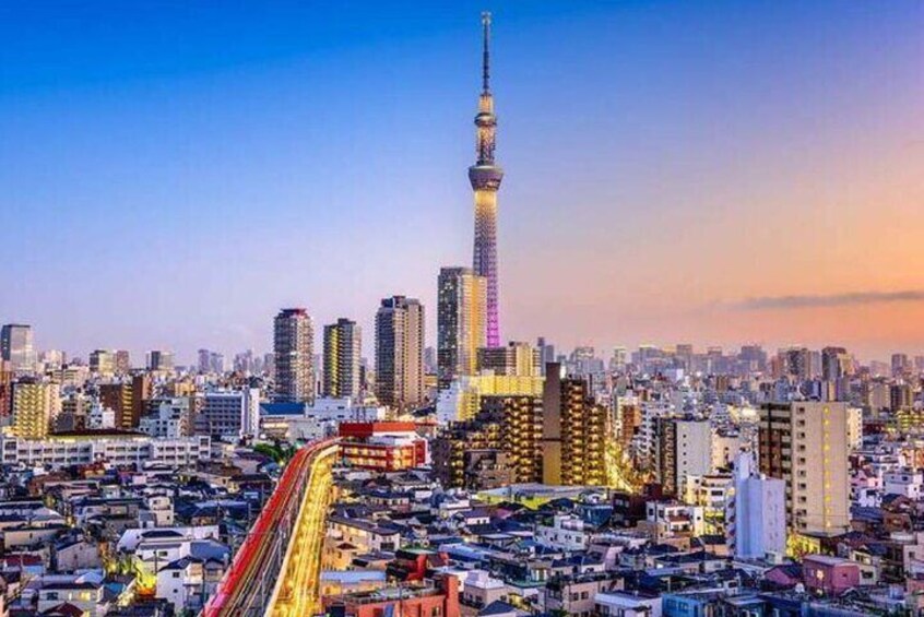 Full Day Tokyo Private City Tour