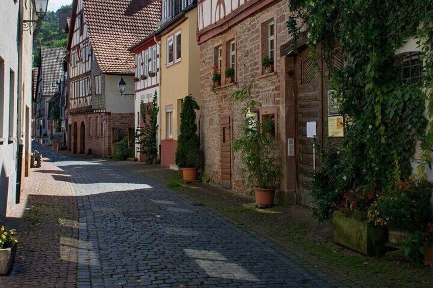 Miltenberg Private Walking Tour with Castle visit