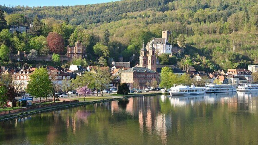Miltenberg Private Walking Tour with Castle visit
